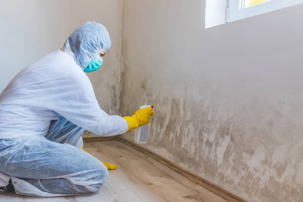 Licensed Crawl Space Mold Removal service in Hoboken, NJ - WQB Mold Removal