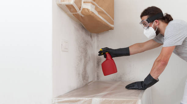 Professional Crawl Space Mold Removal technician working in Hoboken, NJ