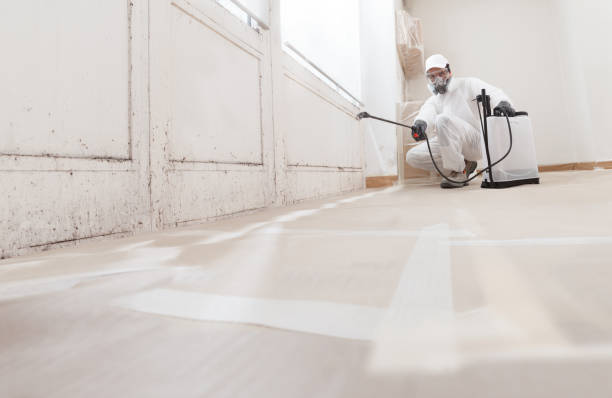 24/7 Emergency Crawl Space Mold Removal experts in Hoboken, NJ