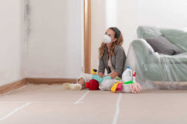 Reliable Crawl Space Mold Removal contractor in Hoboken, NJ by WQB Mold Removal