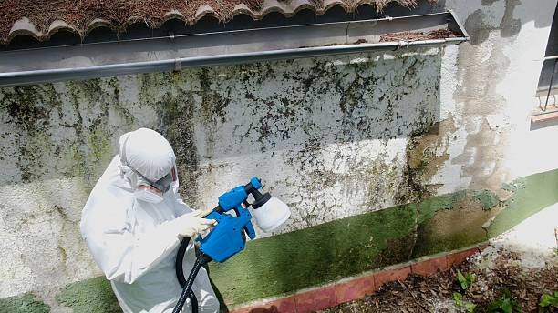 Top rated local Crawl Space Mold Removal specialists in Hoboken, NJ